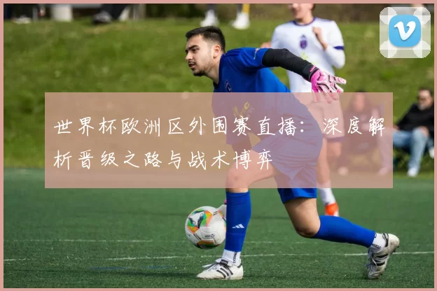 世界杯欧洲区外围赛直播:深度解析晋级之路与战术博弈