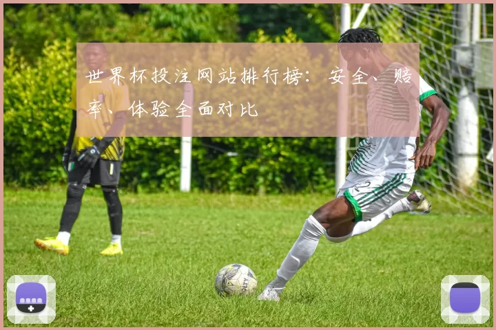 世界杯投注网站排行榜:安全、赔率、体验全面对比