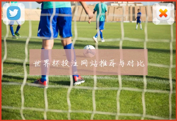 世界杯投注网站推荐与对比