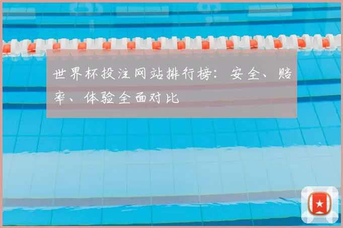 世界杯投注网站排行榜：安全、赔率、体验全面对比