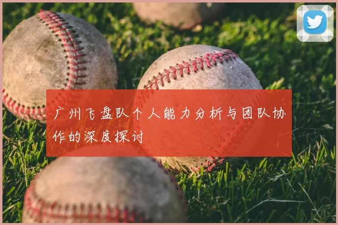 广州飞盘队个人能力分析与团队协作的深度探讨
