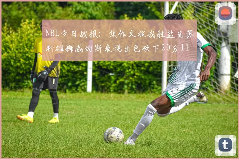 NBL今日战报：焦作文旅战胜盐南苏科雄狮威姆斯表现出色砍下20分11篮板