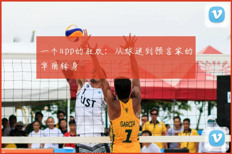 一个app的狂欢:从球迷到预言家的华丽转身
