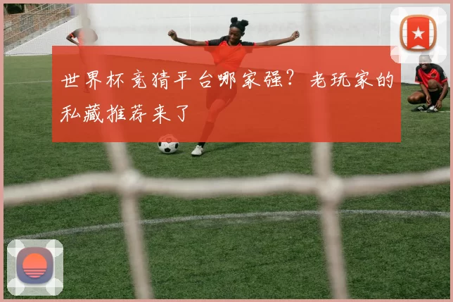 世界杯竞猜平台哪家强?老玩家的私藏推荐来了