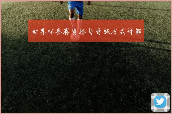 世界杯参赛资格与晋级方式详解