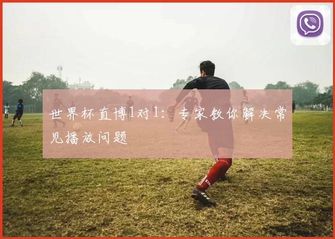 世界杯直博1对1：专家教你解决常见播放问题
