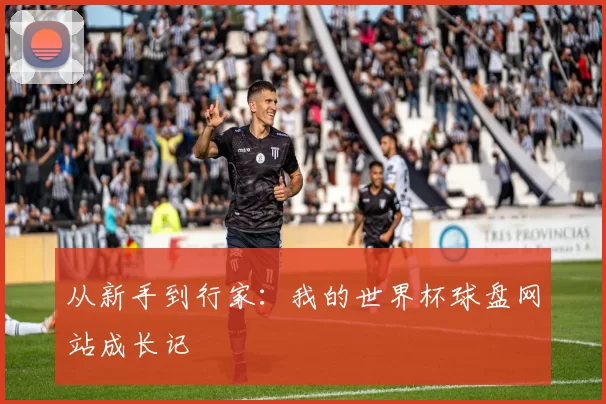 从新手到行家:我的世界杯球盘网站成长记