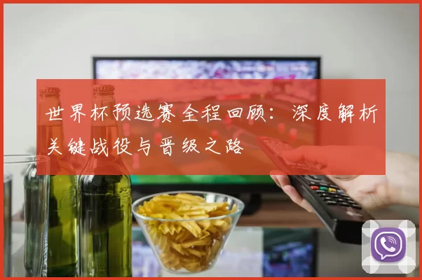 世界杯预选赛全程回顾:深度解析关键战役与晋级之路