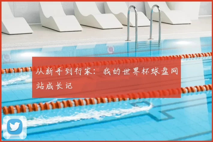 从新手到行家：我的世界杯球盘网站成长记