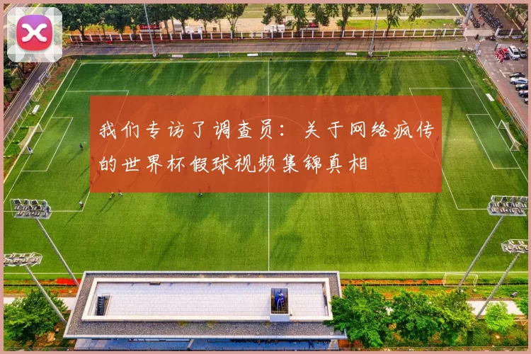 我们专访了调查员:关于网络疯传的世界杯假球视频集锦真相